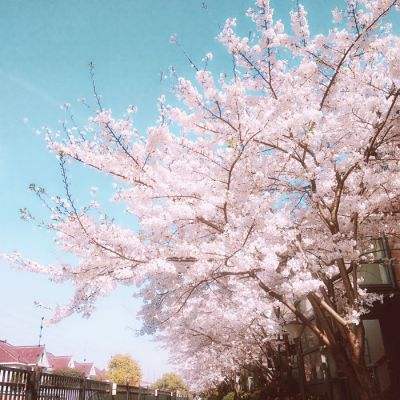 日本开始释放国家石油储备。（共同社）